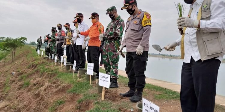 Cegah Bencana Longsor, Pemkab Tanam Rumput Vetiver 15.750 Batang