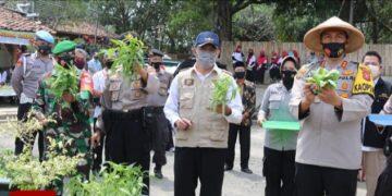 Ketahanan Pangan dan UMKM Bisa Pulihkan Ekonomi dari Pandemi
