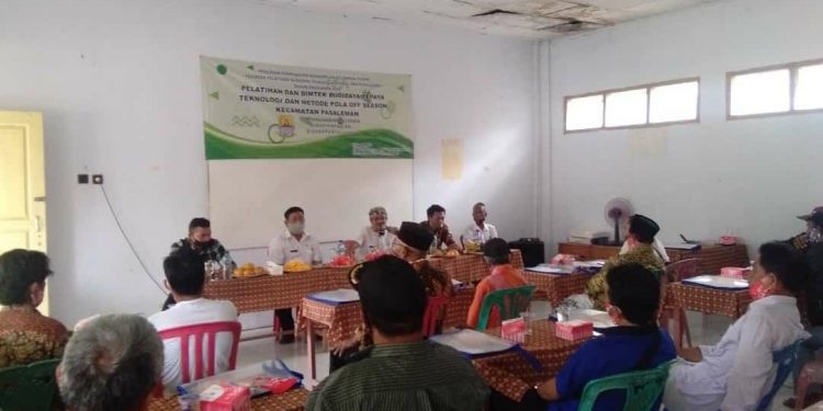 Petani Pepaya Desa Tonjong Dilatih Pengolahan Pepaya