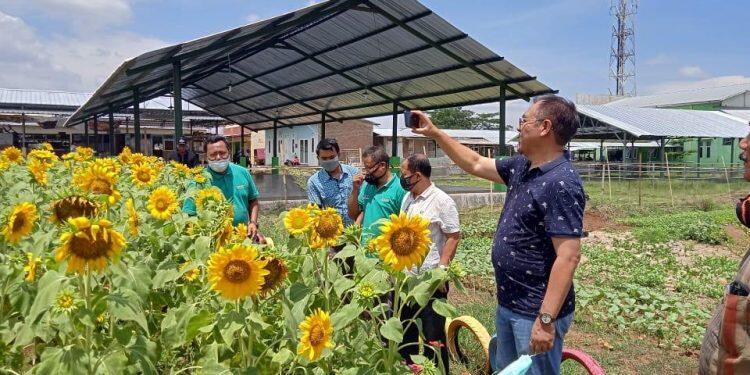 2021, Desa Sampiran Garap Agrowisata
