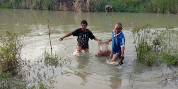 Pamit Istri Mau Mandi, Sardinah Ditemukan Tewas Mengambang