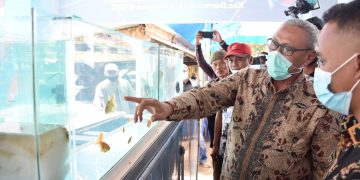 Kuningan Kini Miliki Pasar Ikan Hias