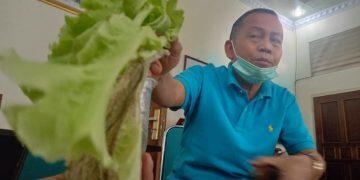 Stok Ketahanan Pangan Tahun 2021 di Kabupaten Cirebon Aman