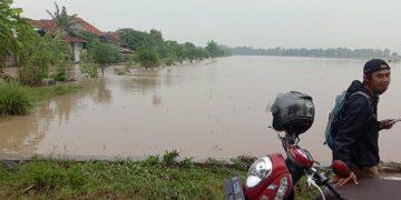 Luapan Sungai Cikamangi Rendam Ratusan Hektar Sawah