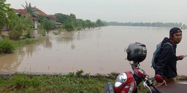 Luapan Sungai Cikamangi Rendam Ratusan Hektar Sawah