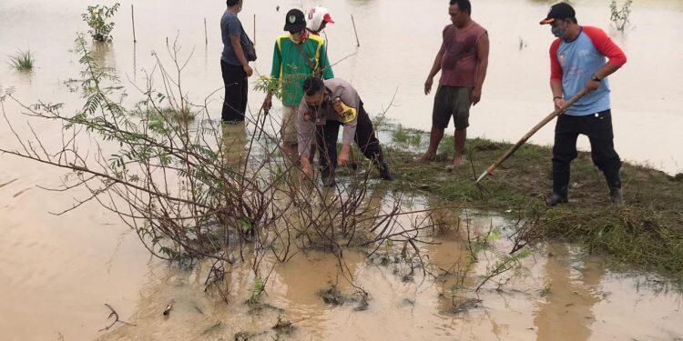 300 Hektar Sawah di Wilayah Jatitujuh Terendam