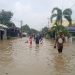 Banjir Rendam Ratusan Rumah dan Ribuan Hektar Sawah di 4 Desa