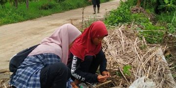 Karang Taruna Pasaleman Tanam 1000 Pohon