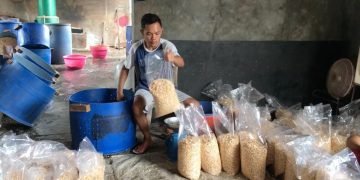 Harga Kedelai Meroket, Produsen Tahu Tercekik