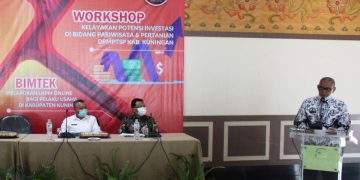 Dongkrak Bangkit Dari Pandemi, DPMPTSP Gelar Workshop