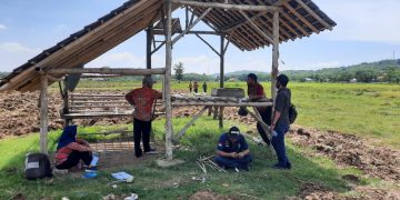 RKP 2021, Pemdes Waledasem Prioritaskan Pembangunan Sektor Pertanian