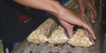 Banyak Pabrik Tempe Gulung Tikar, Fari Mala: Generasi Muda Jangan Gengsi