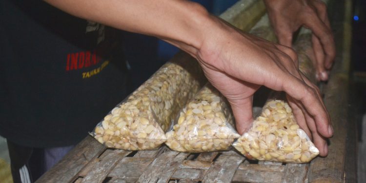 Banyak Pabrik Tempe Gulung Tikar, Fari Mala: Generasi Muda Jangan Gengsi