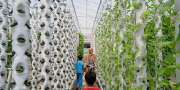 Alumni IPB Asal Cirebon Bangun Agrowisata Hidroponik