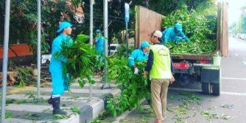 Musim Hujan, DPRKP Lebih Sibuk Bersihkan Taman