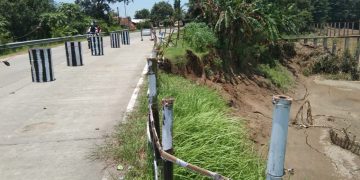 Tanggul Sungai Cisanggarung Dalam Kondisi Kritis