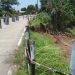 Tanggul Sungai Cisanggarung Dalam Kondisi Kritis