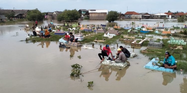 Akibat kejadian tersebut para petani mengalami kerugian mencapai puluhan miliar rupiah.