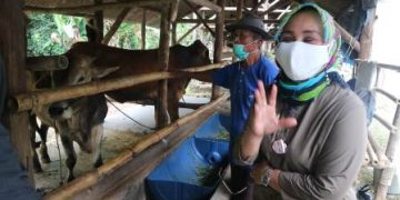 Balai Benih Ternak dan Tanaman Pangan Cibogo Bisa Jadi Agrowisata