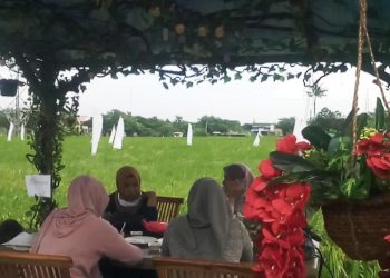 Paddi Cafe Bistro, Sensasi Ngopi Kekinian di Tengah Sawah