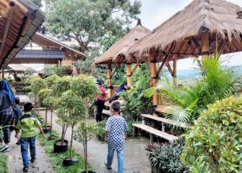 Bukan Mie, Rumah Makan Ini Sajikan Ayam Gepuk