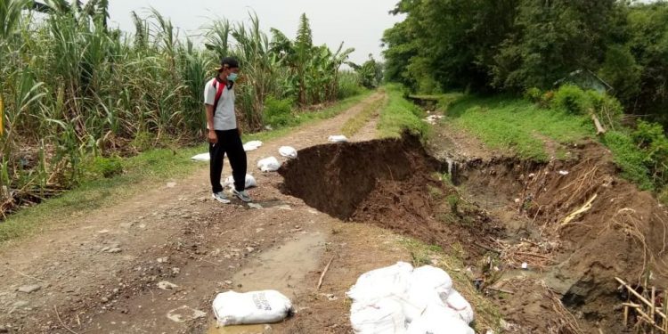 Akses Jalan dan Irigasi Pertanian Terancam Putus