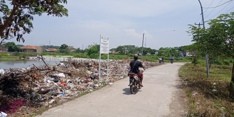 Walhi: Reklamasi Pakai Sampah Cukup Bahaya