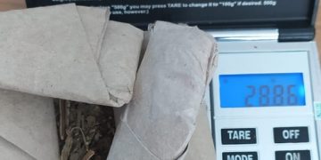 Kedapatan Memiliki Ganja, Satu Pemuda Diamankan Polisi