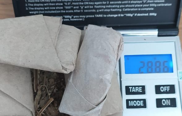 Kedapatan Memiliki Ganja, Satu Pemuda Diamankan Polisi