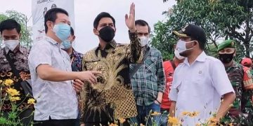 Desa Cangkingan Berotensi Kembangkan Pisang Cavendish