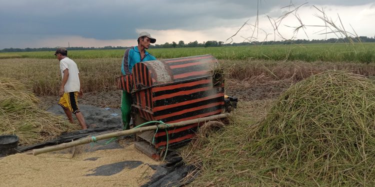 Wabup Tarsono Sambut Baik Program Petani Milenial