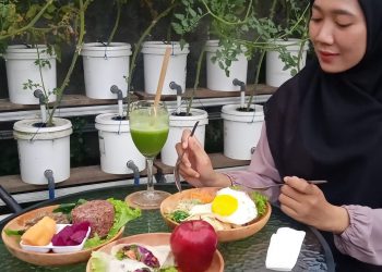 Bukan Cuma Bisa Petik Sayur, Griya Hidroponik Sajikan Menu Sehat