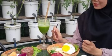 Bukan Cuma Bisa Petik Sayur, Griya Hidroponik Sajikan Menu Sehat