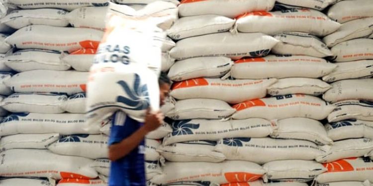 Stok Gudang Penuh Jadi Kendala Serapan Beras Bulog Tahun Ini