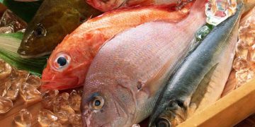 Cegah Stunting dengan Gemar Makan Ikan