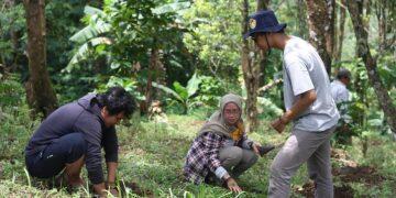 Anak Sekolah Jalanan Diajari Tanam Kopi yang Baik di Perkebunan Gunungwangi