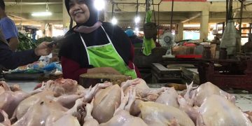Sempat Melonjak di Awal Ramadan, Harga Kepokmas di Pasar Mulai Stabil