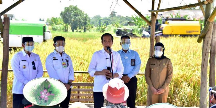 Indonesia Tidak Perlu Impor Beras