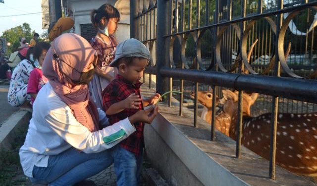 Taman Rusa, Tempat Ngabuburit Asyik Bersama Anak