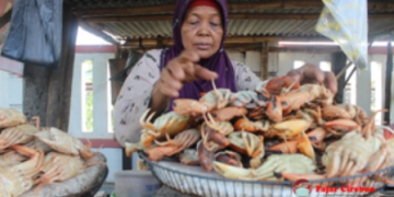 Dua Tahun Suami Sakit, Nenek Santi Topang Ekonomi Keluarga