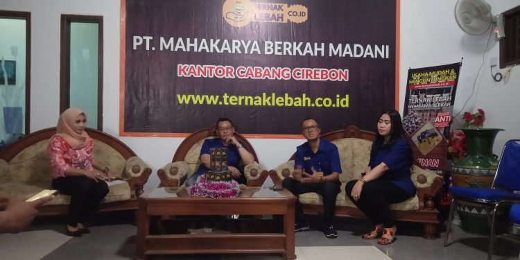 Mudah Perawatannya MBM Buka Kemitraan Budidaya Lebah Klanceng