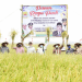 Pasokan Air Berkurang, Petani Tanam Lebih Awal