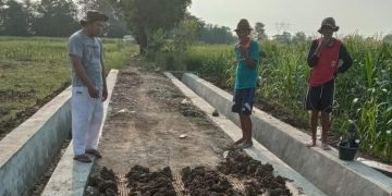 Petani di desa Cibogo, Kecamatan Waled, Kabupaten Cirebon, mengeluhkan sulitnya mendapatkan pupuk bersubsidi.