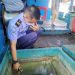 DPPKP Diminta Perbaiki Sistem Retribusi PPN Kejawanan