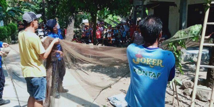 Masuk ke Pemukiman Warga, Seekor Kera Mengamuk