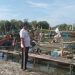Petambak Bandeng Khawatir Serangan Bencana Rob
