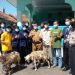 Pemdes Cipejeuh Kulon Siapkan Doorprize Dua Kambing untuk Warga yang Ikut Vaksinasi