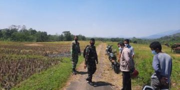 program BSMSS