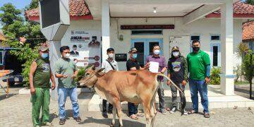 Cirebon Power Distribusikan 52 Ekor Hewan Kurban