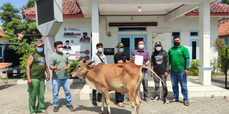 Cirebon Power Distribusikan 52 Ekor Hewan Kurban